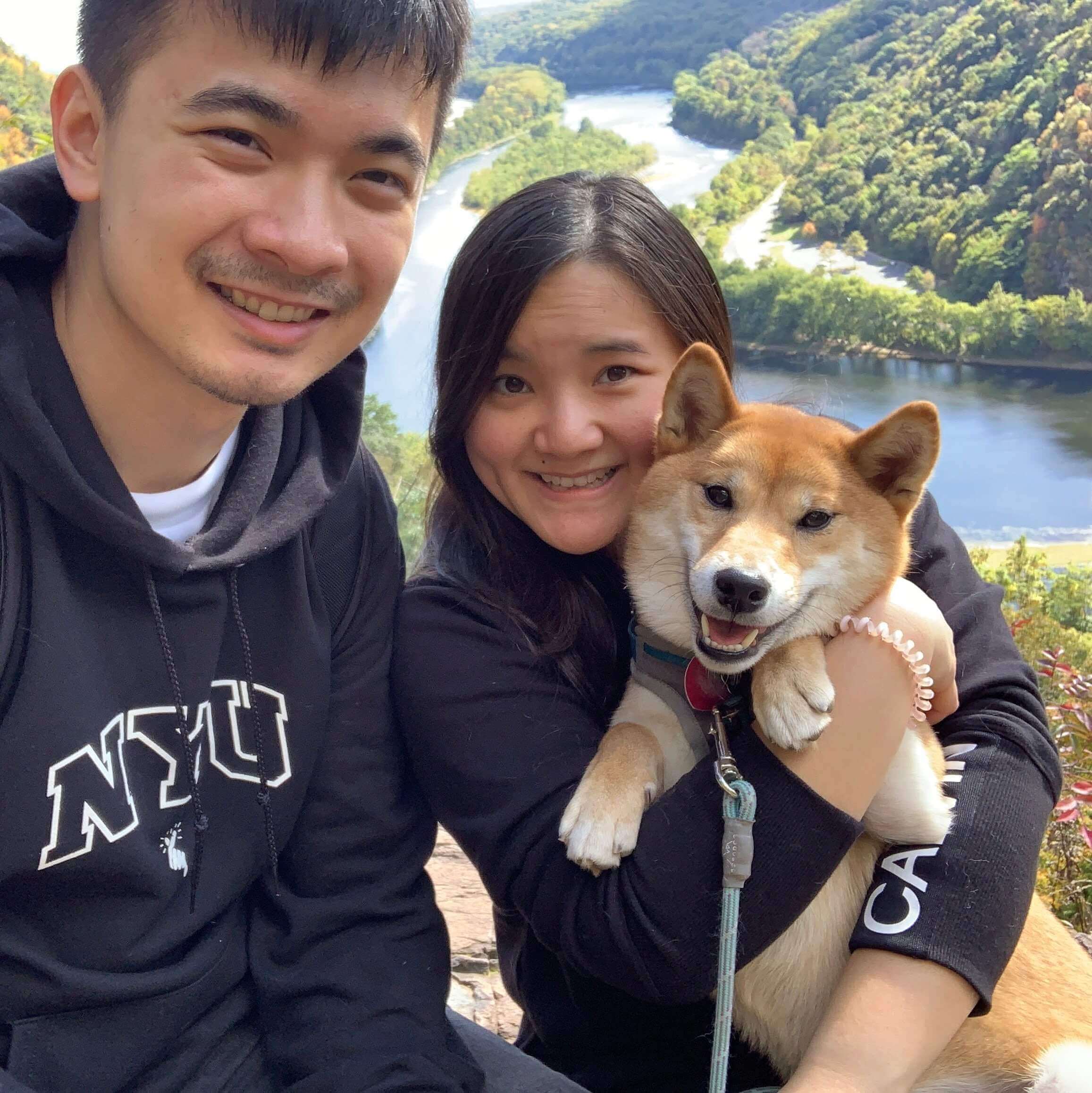 wagmo-io-for-affordable-pet-insurance-and-pet-wellness-plans